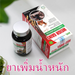 เพิ่มน้ำหนัก เพิ่มน้ำหนัก เพิ่ม Cordyceps